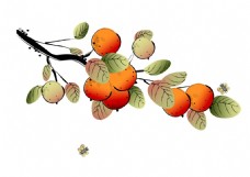 水果果实唯美植物果实水墨矢量画素材AI