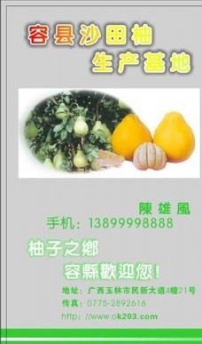 果蔬名片模板蔬菜水果平面设计0988