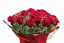 红玫瑰花束摄影