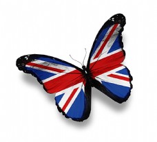 英国国旗蝴蝶