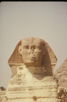 埃及 狮身人面像图片