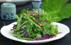 生拌茼蒿 蔬菜图片