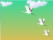 三只白鹤飞过flash动画