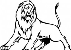 狮子 野生动物 矢量CDR_01