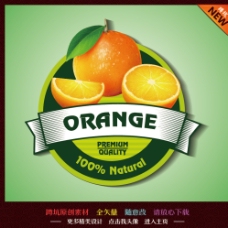 水果展板橙子水果标签图片