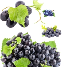 进口蔬果蓝莓葡萄图片
