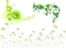 绿色 树藤图片