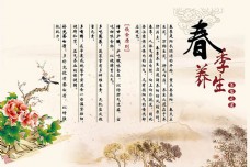 中国风设计养生之道春季养生海报设计psd素材