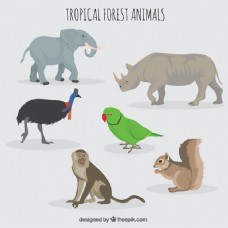 森林与野生动物