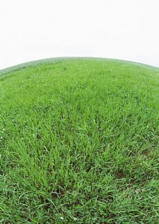 地球背景地球形状的草地背景图片