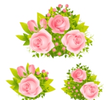 精美粉色玫瑰花图片