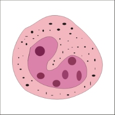 细胞结构图