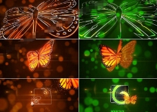 梦幻的线条勾勒蝴蝶logo揭示AE模板