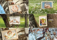 清新阳光公园里的家庭相片展示AE模板