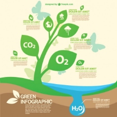 自信绿色生态的信息图表