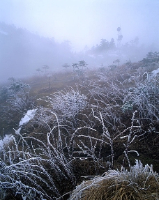 大自然冬天风景摄影