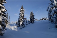 挪威雪景图片