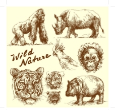 手绘野生动物图片