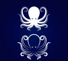 海洋动物 章鱼 八爪鱼图片