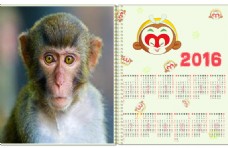 猴年年历2