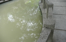 公园里面浑浊的池塘图片