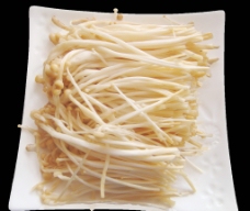 金针菇 菌类     鲜金针菇图片
