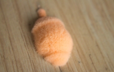 馒头小包 霉菌 霉雨季节图片