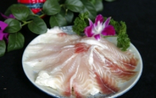 泰国巴沙鱼图片